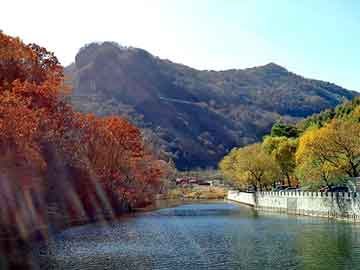 新澳天天开奖资料大全旅游团，娘子是蝙蝠